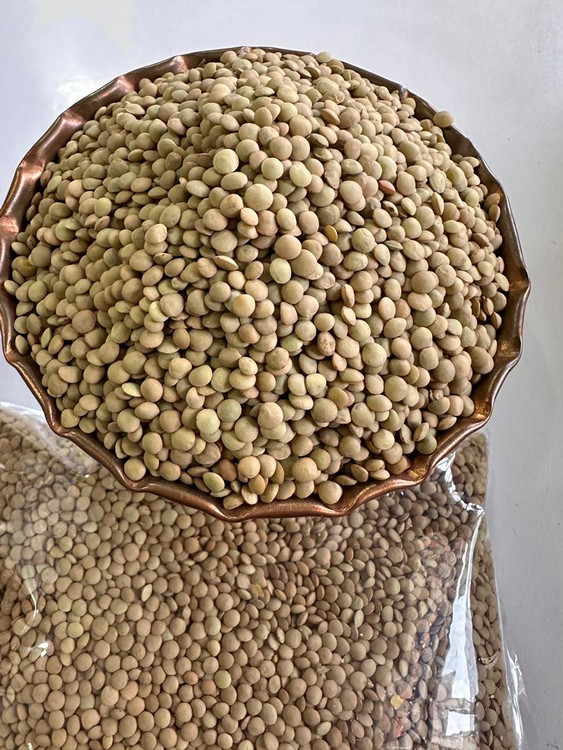 عدس ریز ویکتوریا