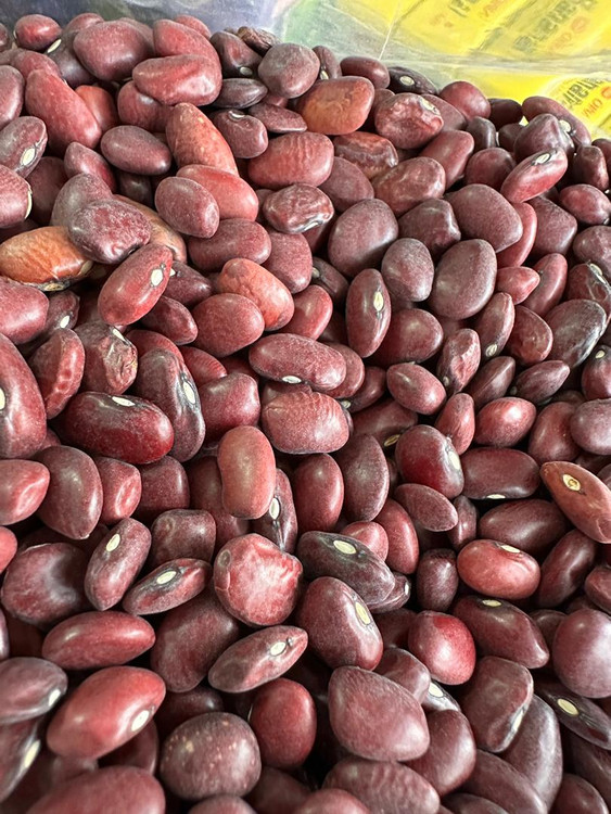 حبوبات لوبیا قرمز