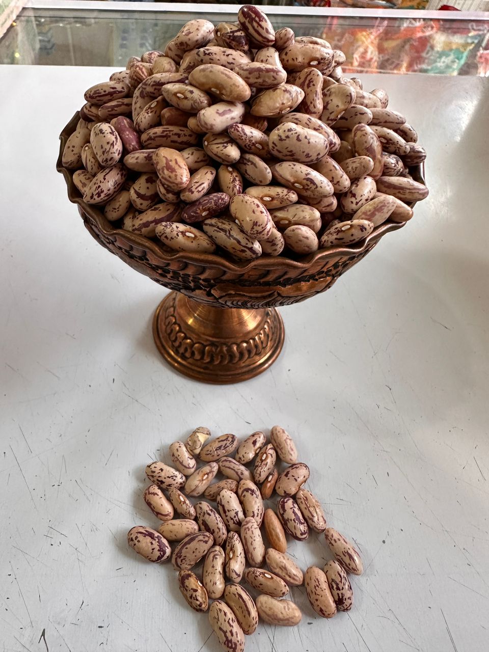 حبوبات لوبیا چیتی