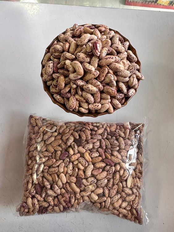 حبوبات لوبیا چیتی