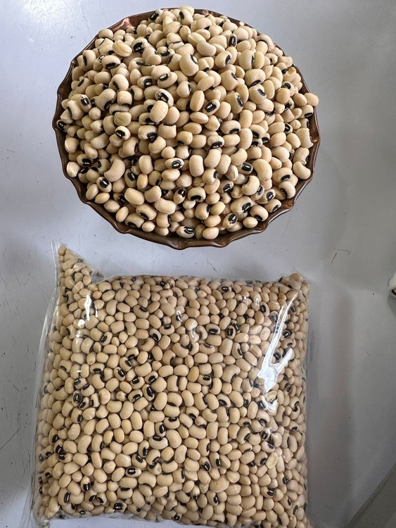 حبوبات لوبیا چشم بلبلی