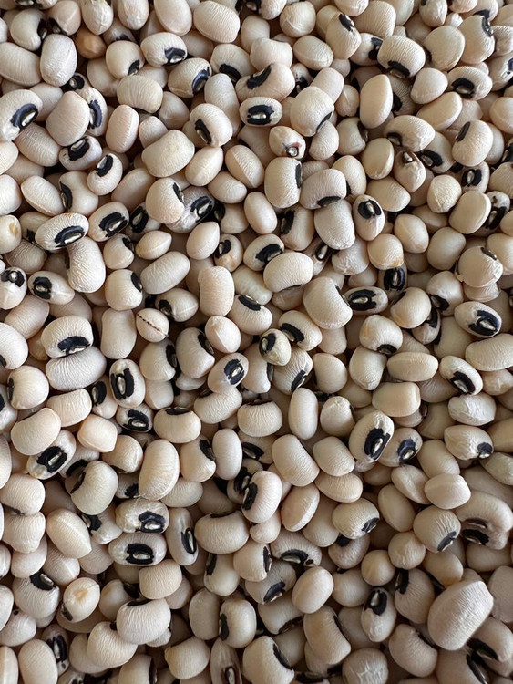 حبوبات لوبیا چشم بلبلی