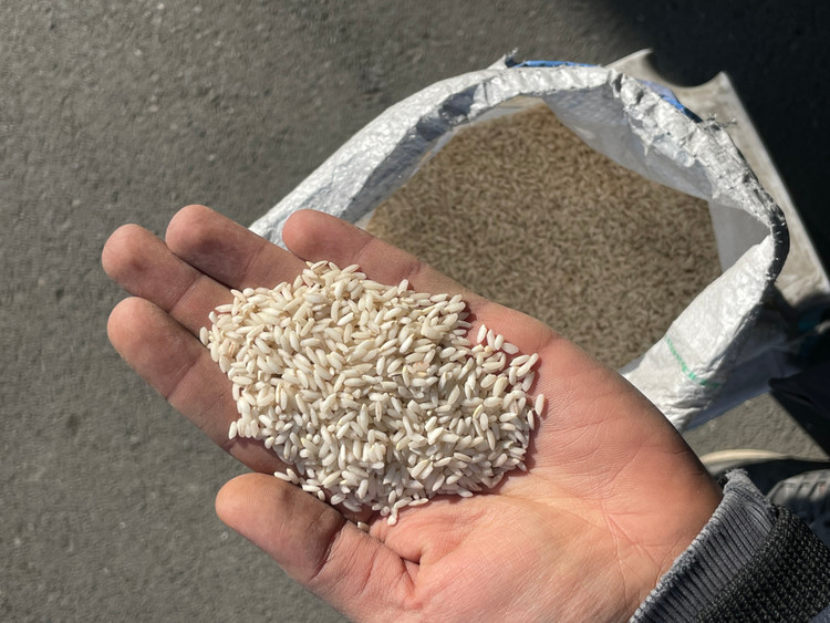 برنج ایرانی عنبربو