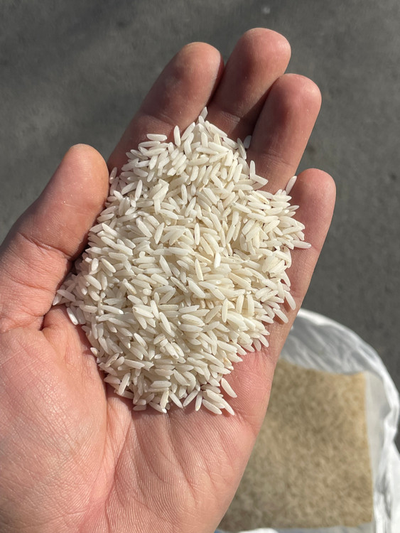 برنج هاشمی درجه 1